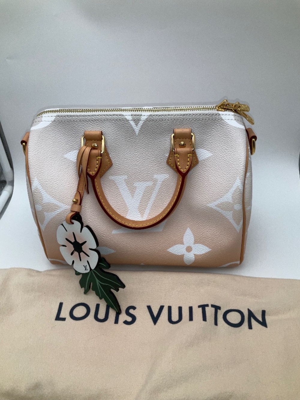 Louis Vuitton Speedy 25 By The Pool Creme Mist Gray Giant Monogram Canvas Bag